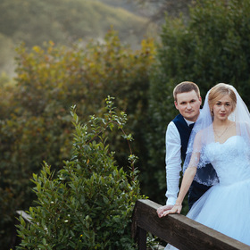 Wedding book